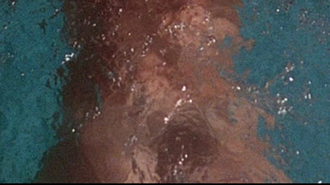 Malin Moberg Nude as Woman in Pool. Butt, nude, pool. 705080