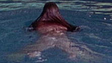 Malin Moberg Naked as Woman in Pool. Butt, nude, pool. 705081