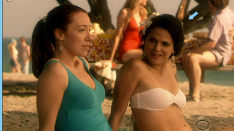 Hottest Lana Parrilla Scene in Swingtown. Bikini, beach, brunette. 665390