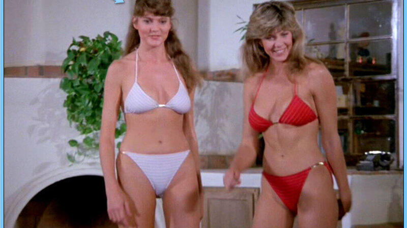 The Fall Guy's Sexiest Scenes with Twyla Littleton. Bikini, SFW, brunette. 655590