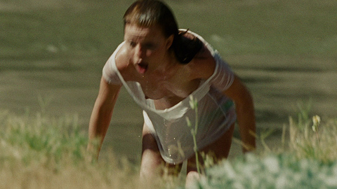 Signe Egholm Olsen in Into the Wild (2007) Breasts Bending Over Breasts 670855