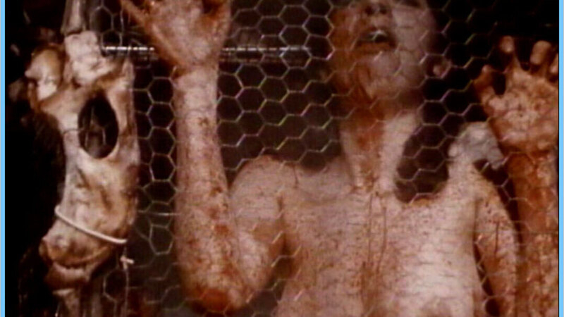 Maureen Allisse Naked as Victim. Breasts, blood, cage. 607719