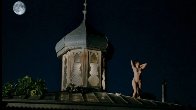 Aya from Absurdistan Naked. Breasts, Bush, brunette, hairy bush. 674111