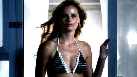 Ricki Noel Lander in CSI: Crime Scene Investigation (2000-2015) Underwear Black Underwear Brunette 658999