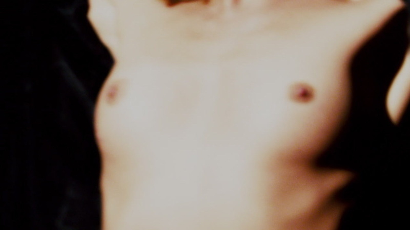 Jake Reardon Naked in Repo! The Genetic Opera. Breasts, close up, nude. 652045