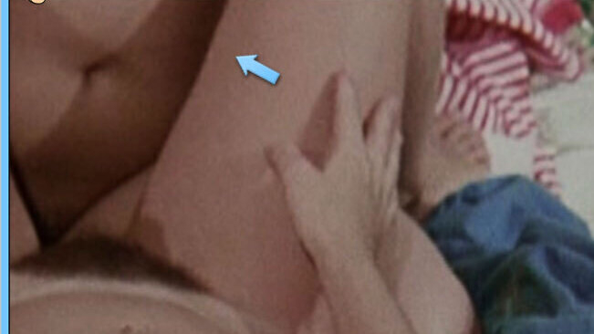 Angelique de Moline Naked in The Stewardesses. Bush, brunette, hairy bush. 642013