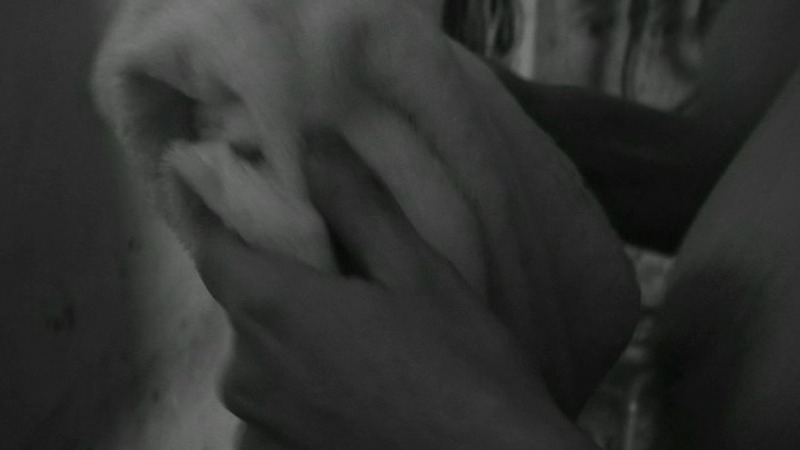 Silvia Suvadova Nude in Polanski. Breasts, nude. 751294