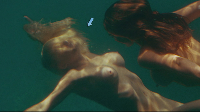 Riley Steele Nude in Piranha 3D. Breasts, blonde, brunette. 692140