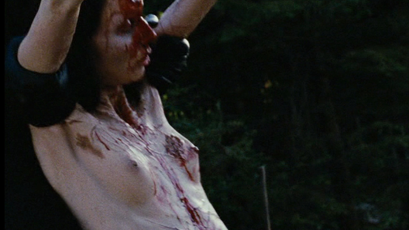 Nudes of La Suppliciée from Martyrs. Breasts, bleeding, bloody. 670344