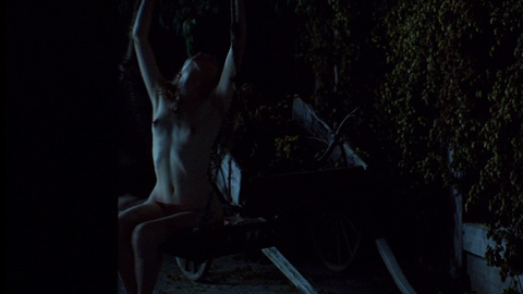 Tamzin Merchant Naked in The Tudors. Breasts, arms raised, hard nipples. 671209