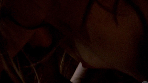 Tamzin Merchant in The Tudors (2007-2010) Breasts Breast Close Up Breasts 684024