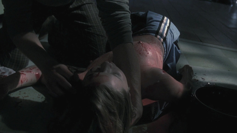 Cherilyn Wilson in Parasomnia (2008) Breasts Bloody Breasts 686237