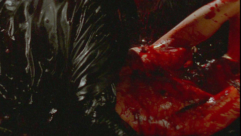 Nara Sakarê in Embodiment of Evil (2008) Breasts Bloody Breasts 694962