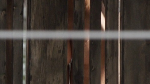 Isabel Lucas Naked in Careful What You Wish For. Butt, nude, voyeur. 760951