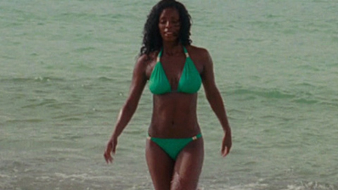 Tasha Smith in Why Did I Get Married Too? (2010) Bikini Beach Bikini 688373