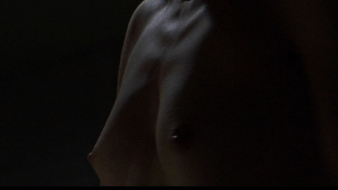 Ellen Woglom in Crash (2008-2009) Breasts Breasts Brunette 677763