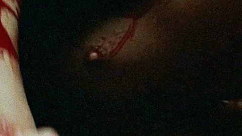 Louise Bourgoin in White Snow (2010) Breasts Blood Breasts 725591