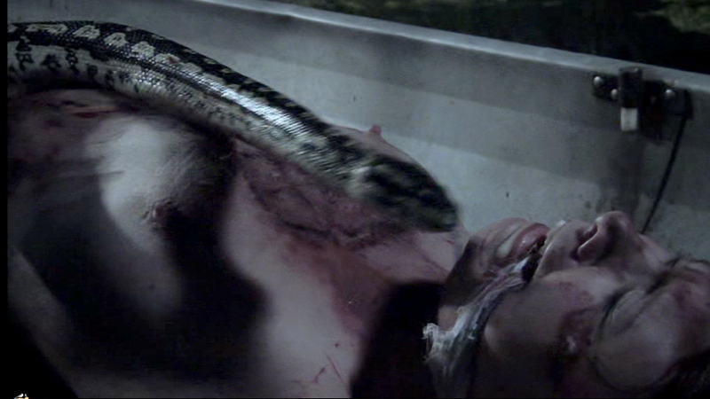 Holly Ilyne Sari Nude in Satanic Panic. Breasts, Horror, blood. 680188