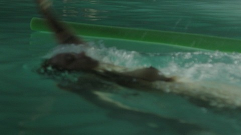 Jemima Kirke in Girls (2012-2017) Breasts Backstroke Breasts 756248