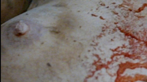 Sandra Pogodová in Bathory: Countess of Blood (2008) Breasts Bloody Breasts 713066