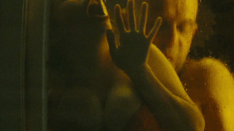 Sexiest Scenes of La strip-teaseuse from Micmacs. Sexy, breasts on glass, clevage. 691559