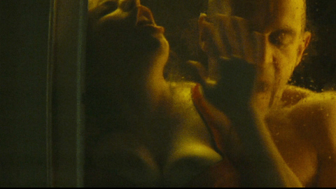 Sexiest Rachel Berger Scene in Micmacs. Sexy, breasts on glass, clevage. 691561