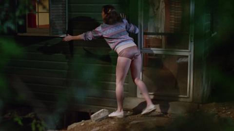 Lauren-Marie Taylor in Friday the 13th Part 2 (1981) Underwear Brown Panties Brunette 685531
