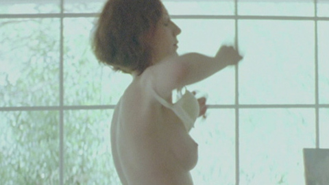 Anna Kalaitzidou in Dogtooth (2009) Breasts Breasts In Front Of Window 695192