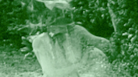 Margaret Edwards in Hypocrites (1915) Breasts Breasts Ghost 700663