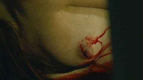 Nicole LaLiberte Nude as Lu. Breasts, Horror, blood. 721790