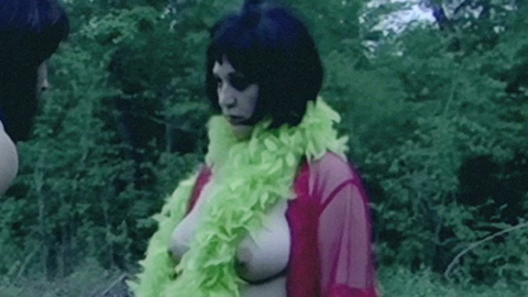 Natasa Miljus in The Life and Death of a Porno Gang (2009) Breasts Big Areolas Big Breasts 714015