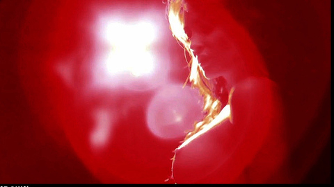 Tanit Phoenix in Taxi Violence - Unholy (Video) (2012) Breasts Breasts Left Breast 710846