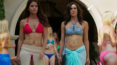 Daniela Ruah in NCIS: Los Angeles (2009-2018) Bikini Sexy Bikini Dark Hair 777884