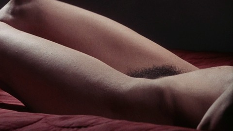 Gisèle Grimm in Tropic of Cancer (1970) Bush Body Double Body Double Bush 744957