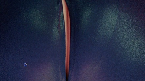 Rebel Wilson in Pitch Perfect 2 (2015) Butt Butt Butt Close Up 774150