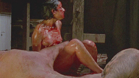 Jannete Tomiita in Embodiment of Evil (2008) Breasts Bloody Breasts 694979