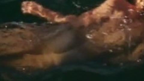 Mia Wasikowska in Tracks (2013) Butt Butt Dog Swimming 742549