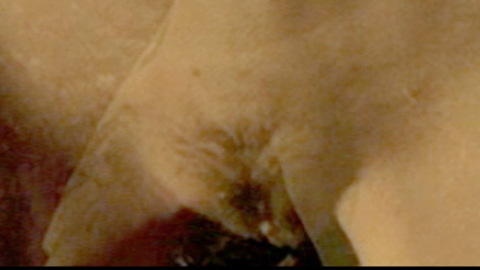 Amanda Pemberton Nude as Anna. Bush, nude, outdoors. 703232