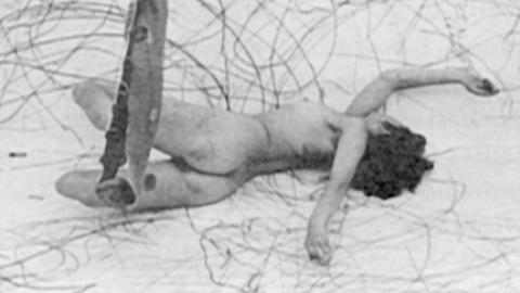 Carolee Schneemann Nude in !Women Art Revolution. Breasts, Butt, Bush, art, back exposed. 709102