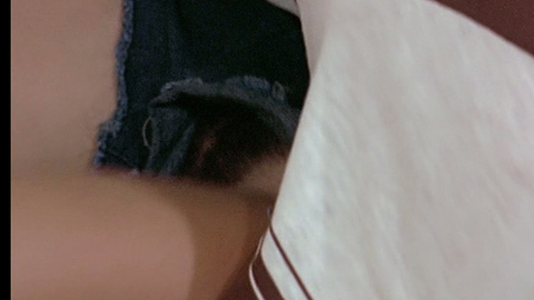 Sandra Kay in The Immoral Three (1975) Bush Bush Couple 712362