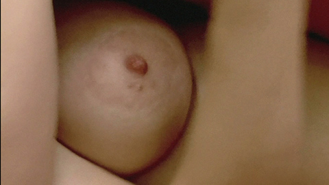 Ana Acimovic in The Life and Death of a Porno Gang (2009) Breasts Big Areolas Breasts 714026