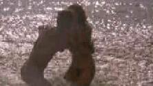 Rebecca Cardinale Naked in Brothers. Breasts, Butt, Bush, beach, brunette. 715789