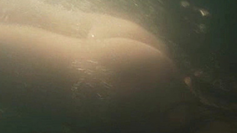 Alicia Vikander in The Crown Jewels (2011) Butt Brunette Butt 719943