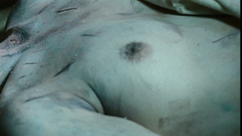 Shannon Lambert-Ryan in Bereavement (2011) Breasts Breasts Corpse 715029