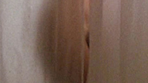 Ellie Cornell Nude in Halloween 5. Bush, bathroom, hairy bush. 717064