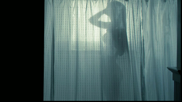Sexiest Scenes of (Body Double for Amanda Seyfried) from Gone. Sexy, SFW, breast silhouette. 719267