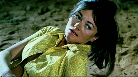 Sylvia Kay in Wake in Fright (1972) Sexy Cleavage Dark Hair 720249