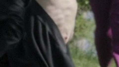 Gaby Hoffmann Naked as Caroline Sackler. Breasts, cart wheel, cemetary. 756225