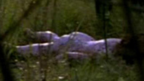Nicole DuBois in Dead Man Walking (1996) Butt Back Exposed Brunette 723341