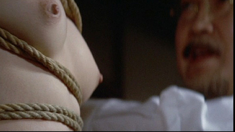 Rei Okamoto in Fairy in a Cage (1977) Breasts Bdsm Bondage 726846